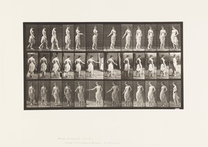 Płyta 53. Chodzenie, rozrzucanie kwiatów i obracanie się autorstwa Eadweard Muybridge