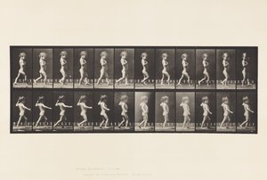 Płyta 540.A, Nogi dziobowe; Chłopiec; B, próchnica kręgosłupa; Spacerująca dziewczyna, 1885 autorstwa Eadweard Muybridge