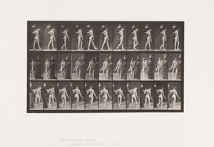 Tabliczka 541. Rozsiane stwardnienie mózgowo-rdzeniowe (pląsawicowe); Pieszy autorstwa Eadweard Muybridge