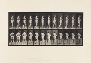 Tabliczka 542. Rozsiane stwardnienie mózgowo-rdzeniowe - chodzenie autorstwa Eadweard Muybridge
