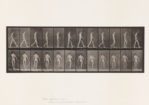 Tabliczka 546. Ataksja lokomotoryczna; Spacer, 1885 autorstwa Eadweard Muybridge