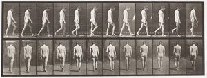 Tabliczka 549.Padaczka; Spacer, 1885 autorstwa Eadweard Muybridge