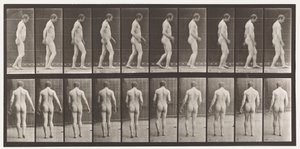Tabliczka 553.Po urazie głowy; Spacer, 1885 autorstwa Eadweard Muybridge