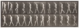 Płyta 555. Zanik mięśni nóg; Dorosły, A, B, Chodzenie, 1885 autorstwa Eadweard Muybridge