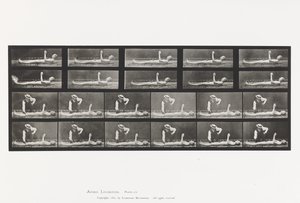 Płyta 556.Pląsawica miejscowa; A, B, leżąc autorstwa Eadweard Muybridge