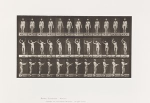 Płyta 557.Pląsawica miejscowa; A, B, C, Stojąc, 1885 autorstwa Eadweard Muybridge