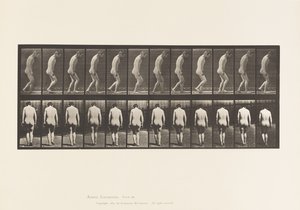 Tabliczka 558.Paraplegia; Częściowy; Spacer, 1885 autorstwa Eadweard Muybridge