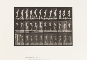 Tabliczka 559. Stwardnienie rozsiane; Spacer z laską autorstwa Eadweard Muybridge
