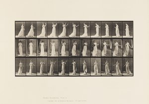 Płyta 55. Chodzenie, odwracanie się, akcja awersji, 1885 autorstwa Eadweard Muybridge