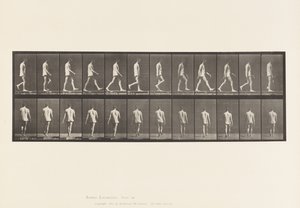 Płyta 560.Ataksja lokomotoryczna; Spacer, 1885 autorstwa Eadweard Muybridge
