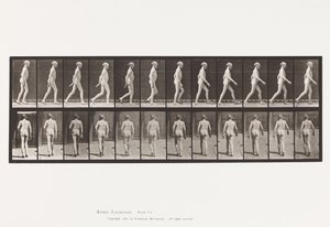 Tabliczka 562. Boczna krzywizna kręgosłupa; Pieszy autorstwa Eadweard Muybridge