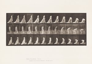 Płyta 56. Chodzenie, skręcanie i pochylanie się, aby podnieść pociąg autorstwa Eadweard Muybridge