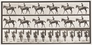 Płyta 580.Chodzenie; Siodło; Koń pełnej krwi angielskiej klacz Annie G., 1885 autorstwa Eadweard Muybridge