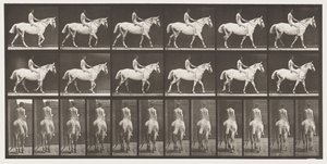 Płyta 581.Chodzenie;Na oklep;Jeździec,43, Nude; Jasnoszary Koń Smith, 1885 autorstwa Eadweard Muybridge