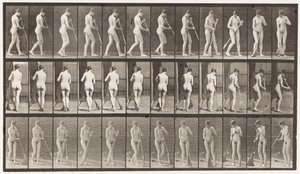 Płyta 58. Chodzenie, obracanie się Zamiatanie podłogi autorstwa Eadweard Muybridge