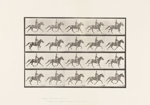 Płyta 591. Kołysanie autorstwa Eadweard Muybridge