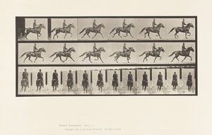 Płyta 592. Kołysanie (stymulacja): Siodło; Brązowy koń Pronto autorstwa Eadweard Muybridge