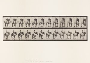 Płyta 600. Kłus; Oklep; Ciemnoszary Dusel autorstwa Eadweard Muybridge