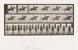 Płyta 601. Kłus; Siodło; Brązowa klacz piękność autorstwa Eadweard Muybridge