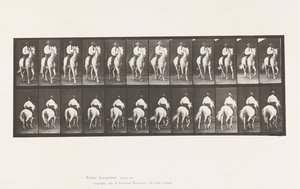Płyta 604. Kłus; Siodło; Biały Koń, Elberon autorstwa Eadweard Muybridge