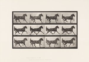 Płyta 606. Kłus; Nadąsany; Gniady koń, Ruben autorstwa Eadweard Muybridge