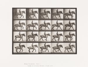 Tabliczka 615. Galop: Na oklep; Ciemnoszary koń belgijski Hansel autorstwa Eadweard Muybridge