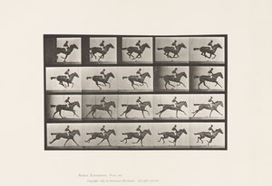 Płyta 627. Galop; Koń pełnej krwi angielskiej klacz Annie G. autorstwa Eadweard Muybridge