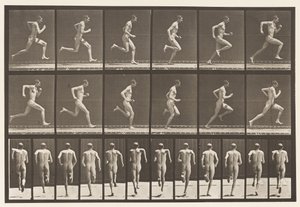 Płyta 62. Bieganie na pełnych obrotach, 1872-1885 autorstwa Eadweard Muybridge
