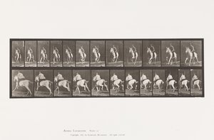 Płyta 630. Galop; Siodło; Siwa klacz Pandora autorstwa Eadweard Muybridge