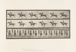 Płyta 631. Galop; Siodło; Bukiet koni pełnej krwi angielskiej autorstwa Eadweard Muybridge
