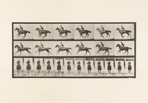Płyta 632. Galop; Siodło; Bukiet koni pełnej krwi angielskiej autorstwa Eadweard Muybridge