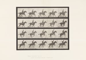 Tabliczka 636. Skakanie przez przeszkodę; Siodło; Przygotowanie do skoku autorstwa Eadweard Muybridge