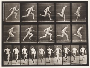 Płyta 63. Bieganie na pełnych obrotach. autorstwa Eadweard Muybridge