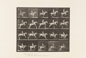 Tabliczka 642. Skakanie przez przeszkodę; Siodło; Jeździec, 105, Akt; Siwa Klacz, 1885 autorstwa Eadweard Muybridge