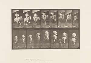 Tabliczka 644. Skakanie przez płotki; Siodło; Rozliczenie i lądowanie autorstwa Eadweard Muybridge
