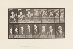 Płyta 645. Skoki przez płotki; Siodło; Rozliczenie i lądowanie autorstwa Eadweard Muybridge