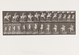 Tabliczka 647. Skoki przez przeszkodę; Oklep; Jeździec autorstwa Eadweard Muybridge