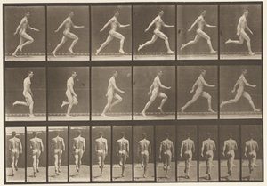 Płyta 64. Bieganie na pełnych obrotach autorstwa Eadweard Muybridge