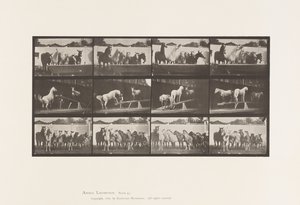 Tabliczka 651.A, Dzwonek; B, tablica balansująca; C, wiertło wojskowe autorstwa Eadweard Muybridge
