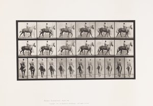 Płyta 653. Chodzenie; Siodło; Kulawa, prawa przednia stopa; końska skóra koźlęca autorstwa Eadweard Muybridge