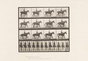 Płyta 655. Chodzenie; Siodło; Spavin, prawa tylna noga; Koń autorstwa Eadweard Muybridge