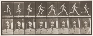 Płyta 65. Bieganie na pełnych obrotach, 1872-1885 autorstwa Eadweard Muybridge