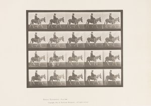 Tabliczka 666. Osioł; Pieszy; Siodło; Dziewczyna na koniu, Zoo autorstwa Eadweard Muybridge