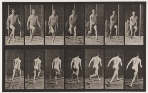 Płyta 66. Bieganie autorstwa Eadweard Muybridge