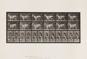 Tabliczka 678. Koza; Kłus, w Sulky autorstwa Eadweard Muybridge