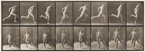 Płyta 67. Bieganie, 1872-1885 autorstwa Eadweard Muybridge