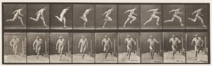 Płyta 68. Bieganie, 1872-1885 autorstwa Eadweard Muybridge