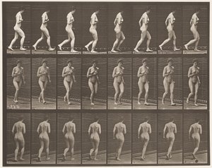 Płyta 70. Bieganie., 1872-1885 autorstwa Eadweard Muybridge