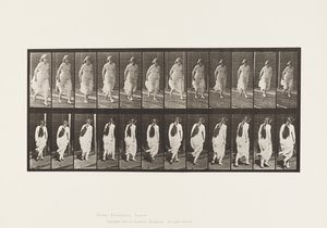 Płyta 71.Bieganie, 1885 autorstwa Eadweard Muybridge