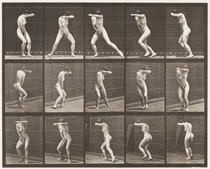 Tablica 73. Odwracanie się z zaskoczenia i ucieczka, 1872-1885 autorstwa Eadweard Muybridge